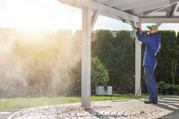 Best Gutter Cleaning and Brightening in Loma, CO