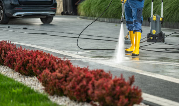 Best Building Exterior Pressure Washing in Loma, CO